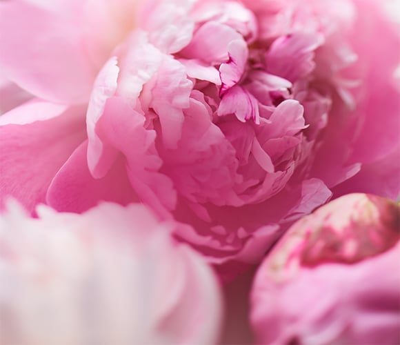 Floral. Soft and subtly sweet