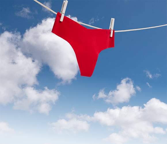 Limited Time. 10/$40 Panty Party. Refresh your collection-dont leave it hanging. Orig. up to $14.95 each. Exclusions apply.