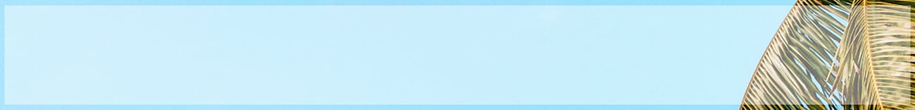 Special Offer! Only CAD $43