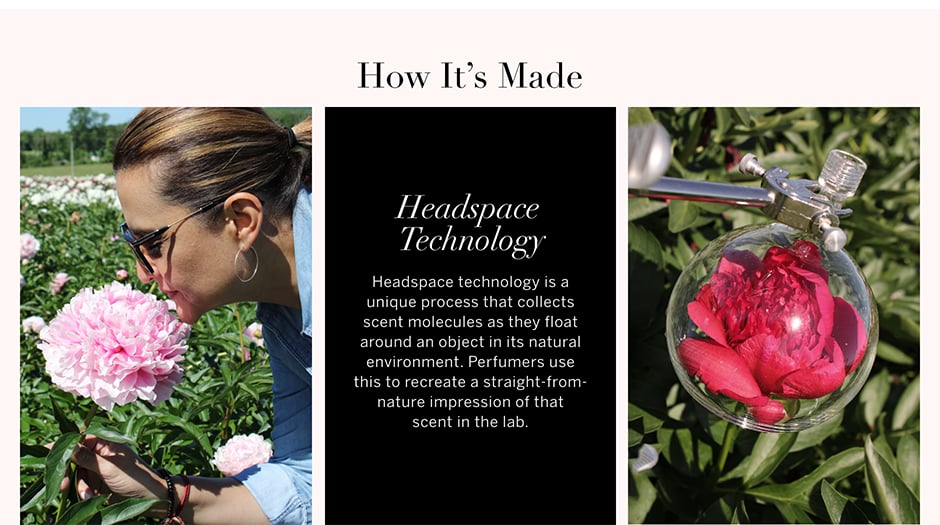 How Its Made. Headspace Technology. Headspace technology is a unique process that collects scent molecules as they float around an object in its natural environment. Perfumers use this to recreate a straight-from-nature impression of that scent in the lab.