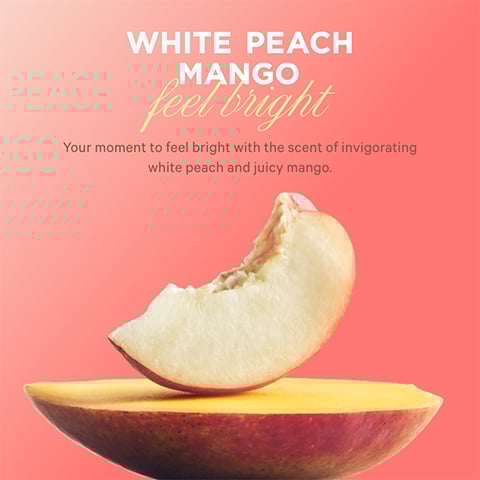 ボディソープ Victoria's Secret Ultimate Moisture togo Victoria's Secret ULTIMATE MOISTURE TO GO 5 Piece Set