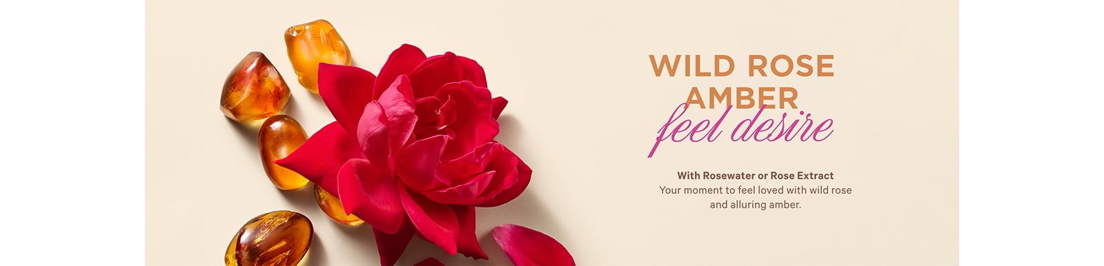 WILD ROSE AMBER. Feel Desire With Rosewater or Rose Extract. Your moment to feel loved with wild rose and alluring amber.