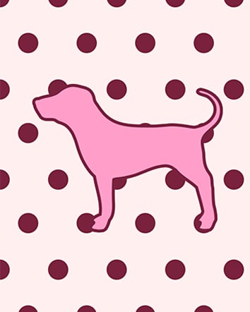 Victoria's Secret PINK