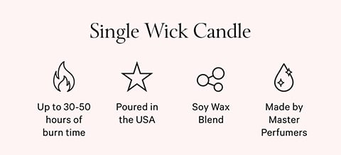 Buy Single Wick Candle, Midnight Vanilla - Order Candles online
