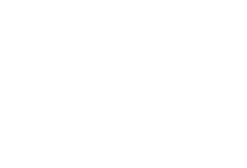 NEW LIMITED-EDITION