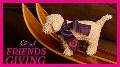 111424 PINK LTO PG Mini Dog OSL