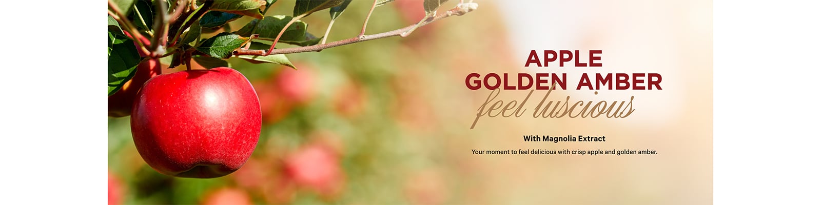 Apple Golden Amber