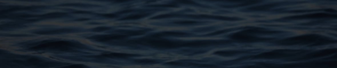 New VS him Deepwater.