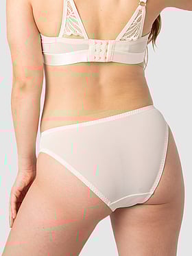 Warrior 2.0 Bikini Brief Panty