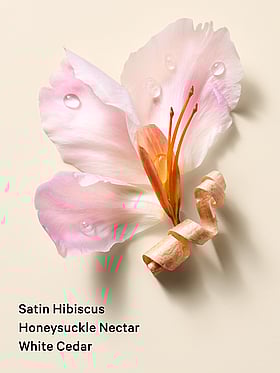 Very Sexy Blush Solid Perfume