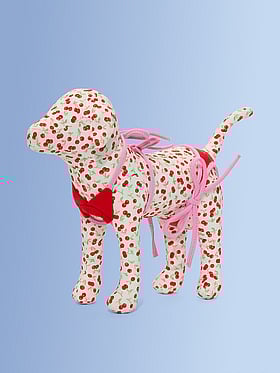 PINK by Frankies Bikinis Cherry Crush Maxi Dog