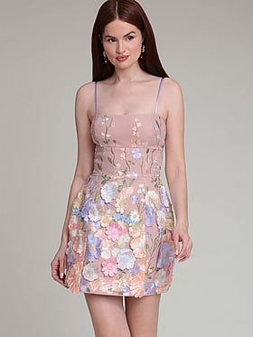 Floral Appliqué Embroidered Mini Dress