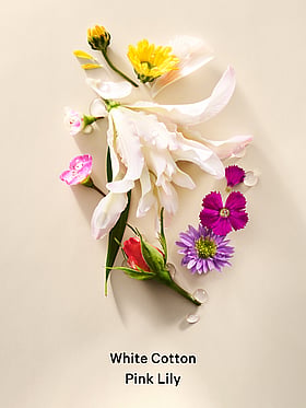 The Archives Collection Fragrance Mist