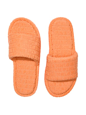 Terry Slides