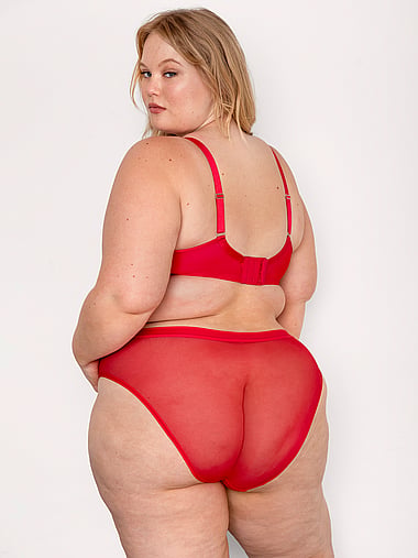 Curvy Couture - Sheer Mesh High-Leg Brief Panty, image 2