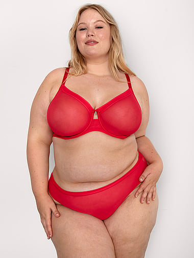 Curvy Couture - Sheer Mesh High-Leg Brief Panty, image 1