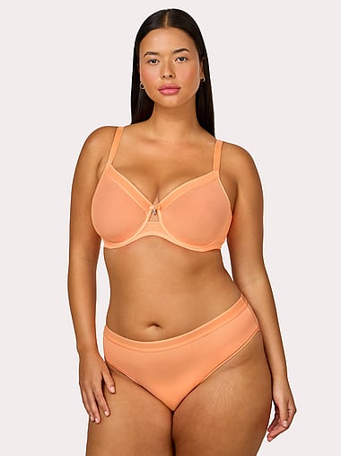 Curvy Couture - Sheer Mesh High-Leg Brief Panty, image 1