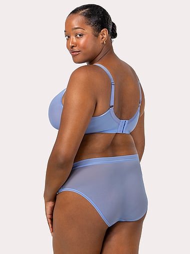 Curvy Couture - Sheer Mesh High-Leg Brief Panty, image 2