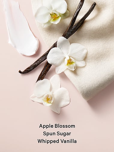 Body Fragrance - Shower Gift Set ft. Shampoo, Conditioner, & Cleanser, image 2