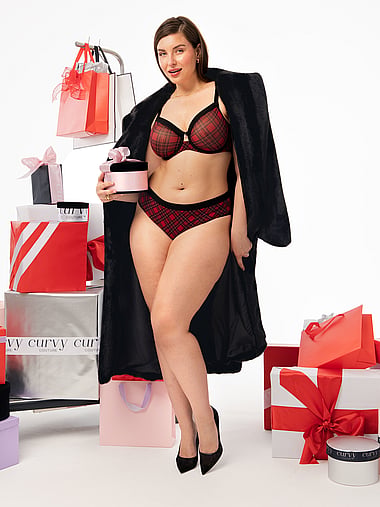Curvy Couture - Sheer Mesh High-Leg Brief Panty, image 1