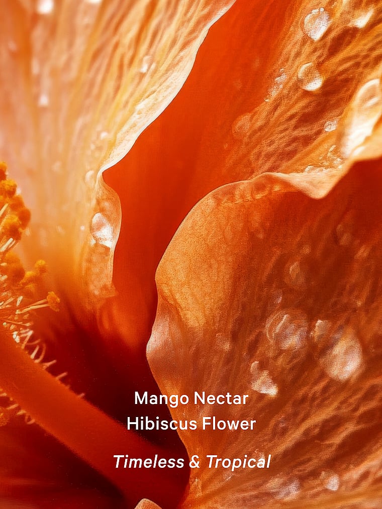 Buy Classic Fragrance Mist, Mango Temptation - Order Fragrances online ...