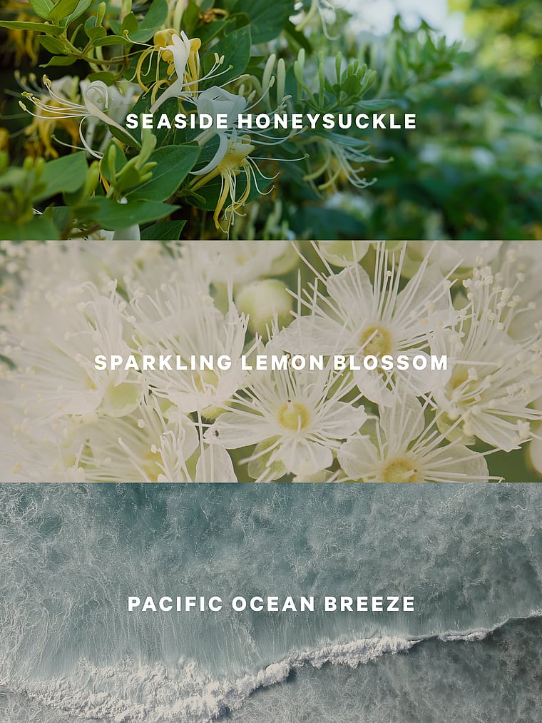 Victoria's Secret, Body Fragrance The Blooms Collection Fragrance Mist, Coastal Blooms, onModelBack, 2 of 2