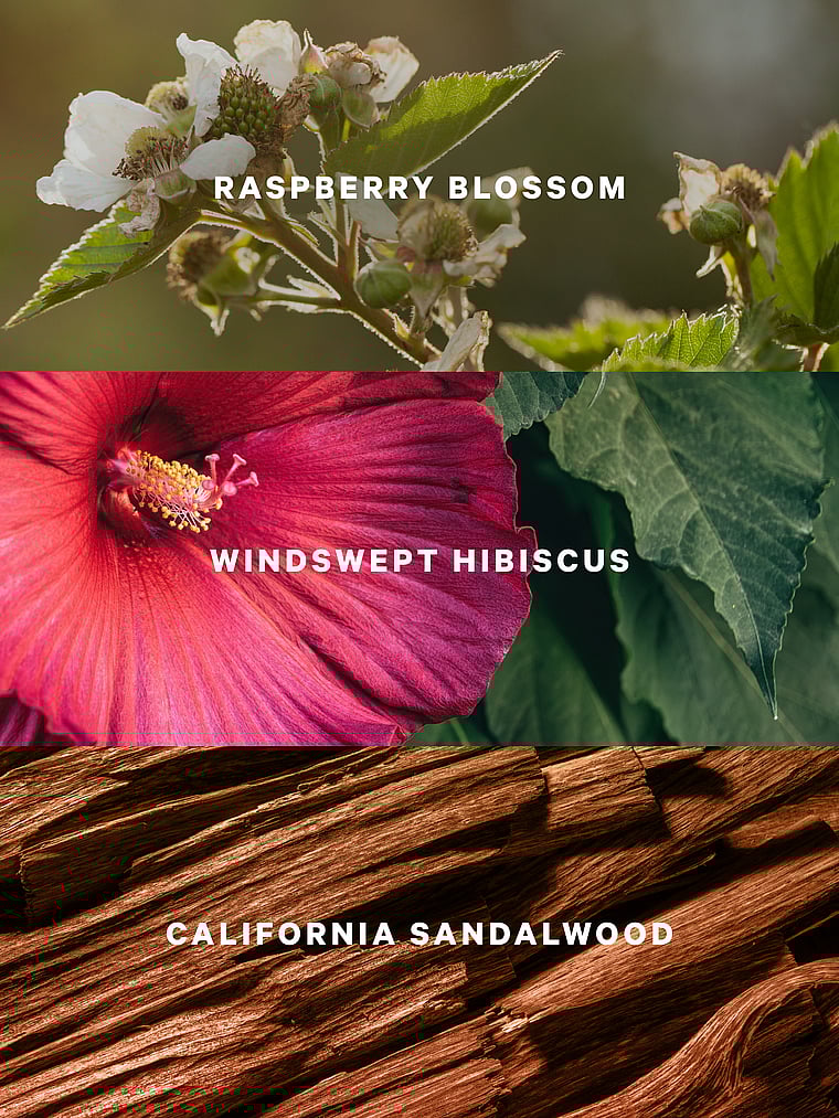 The Blooms Collection Fragrance Lotion