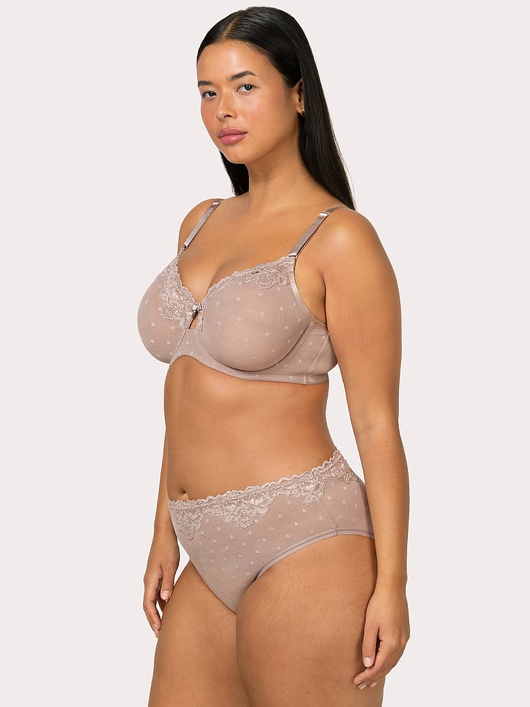 Sheer Whisper High Cut Brief Panty