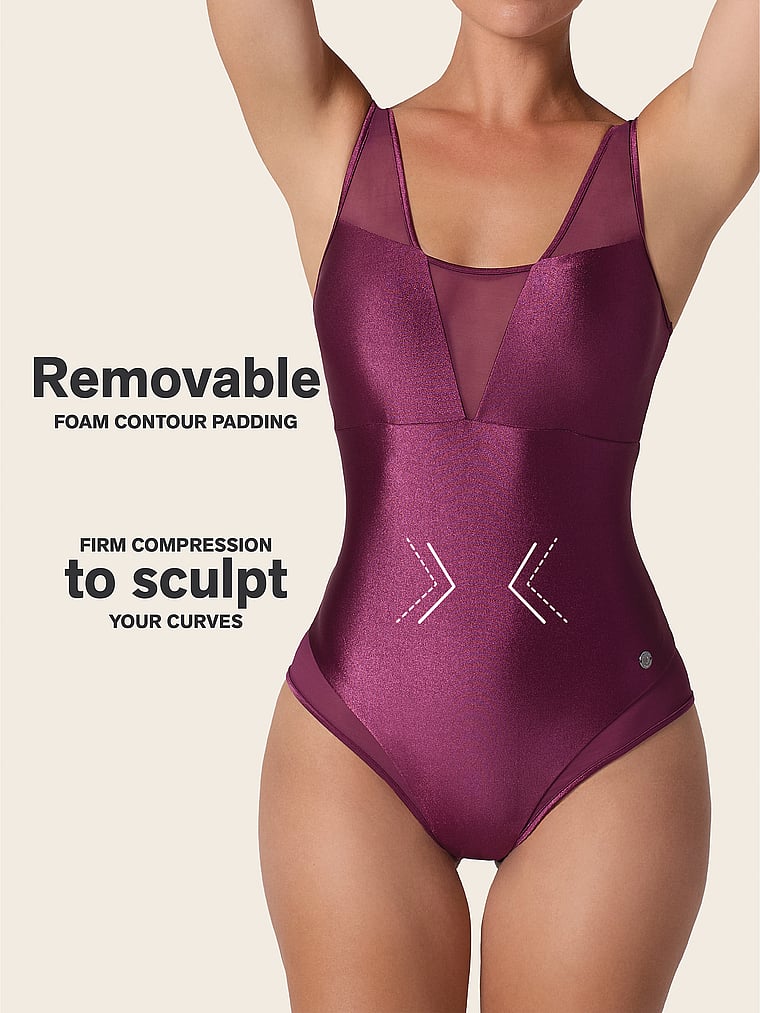 Sheer Plunge One-Piece Swimsuit