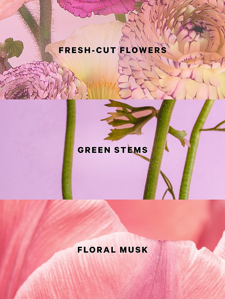 Victoria's Secret, Victoria's Secret Single Wick Candle, Long-Stemmed, onModelBack, 2 of 4