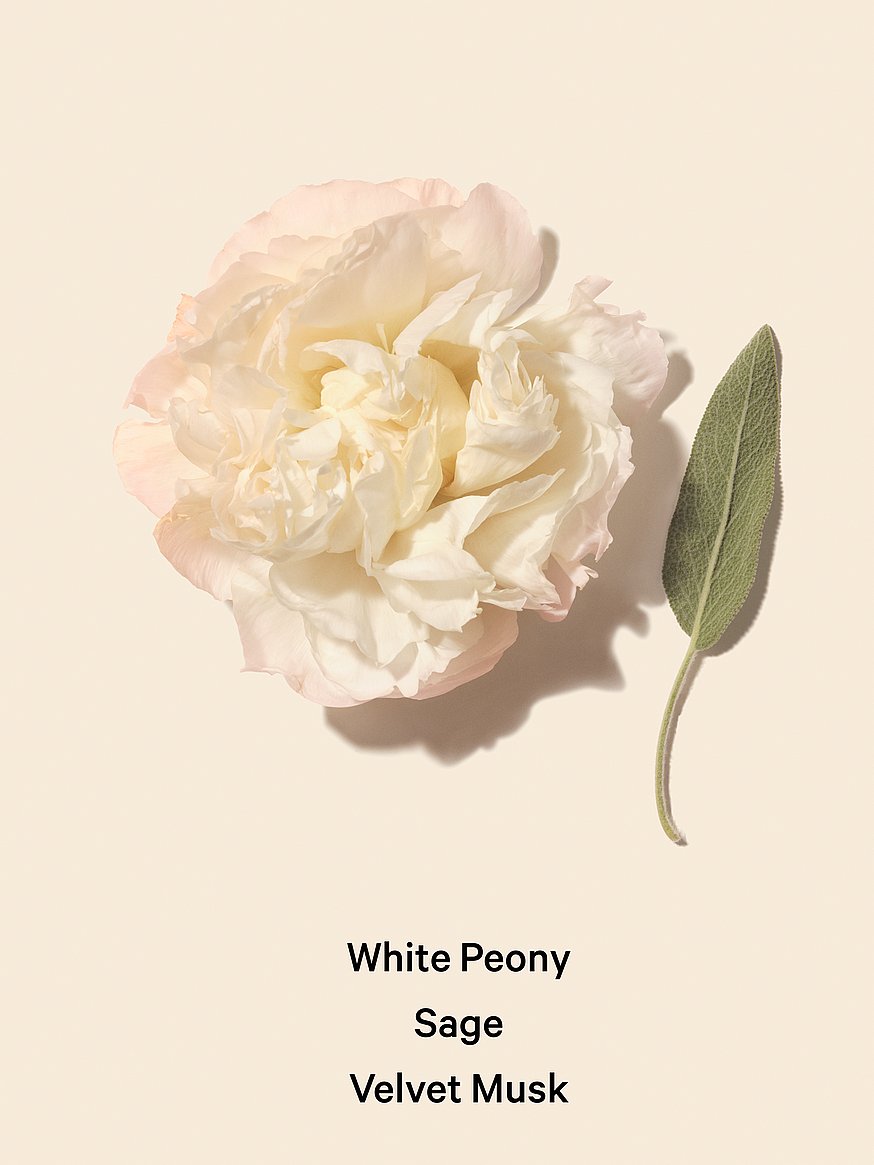 Bombshell Seduction 3.4 oz