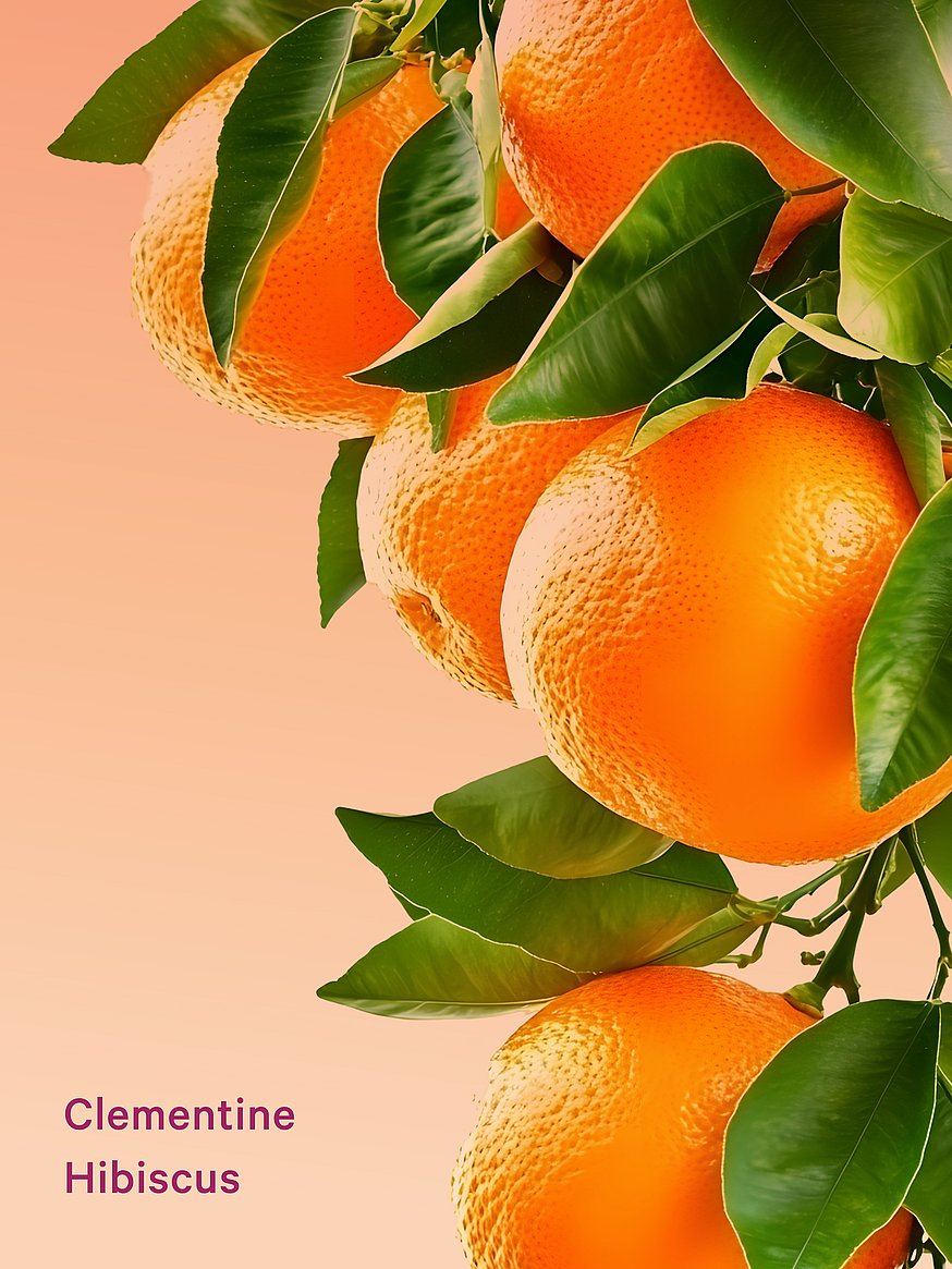 Buy Clementine Hibiscus Feel Energized Travel Set, Feel Energized