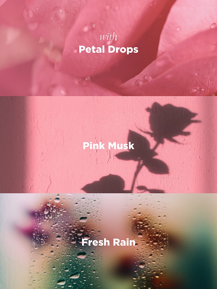 Rose Bohemia Pre-Scented Air Freshener