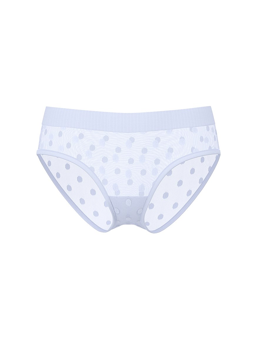 Sheer Heritage Shimmer Hiphugger Panty