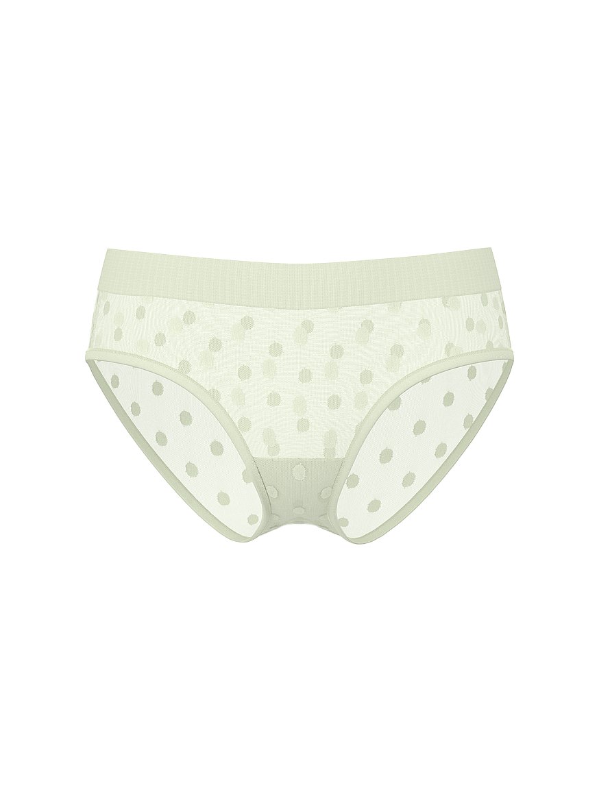 Sheer Heritage Shimmer Hiphugger Panty