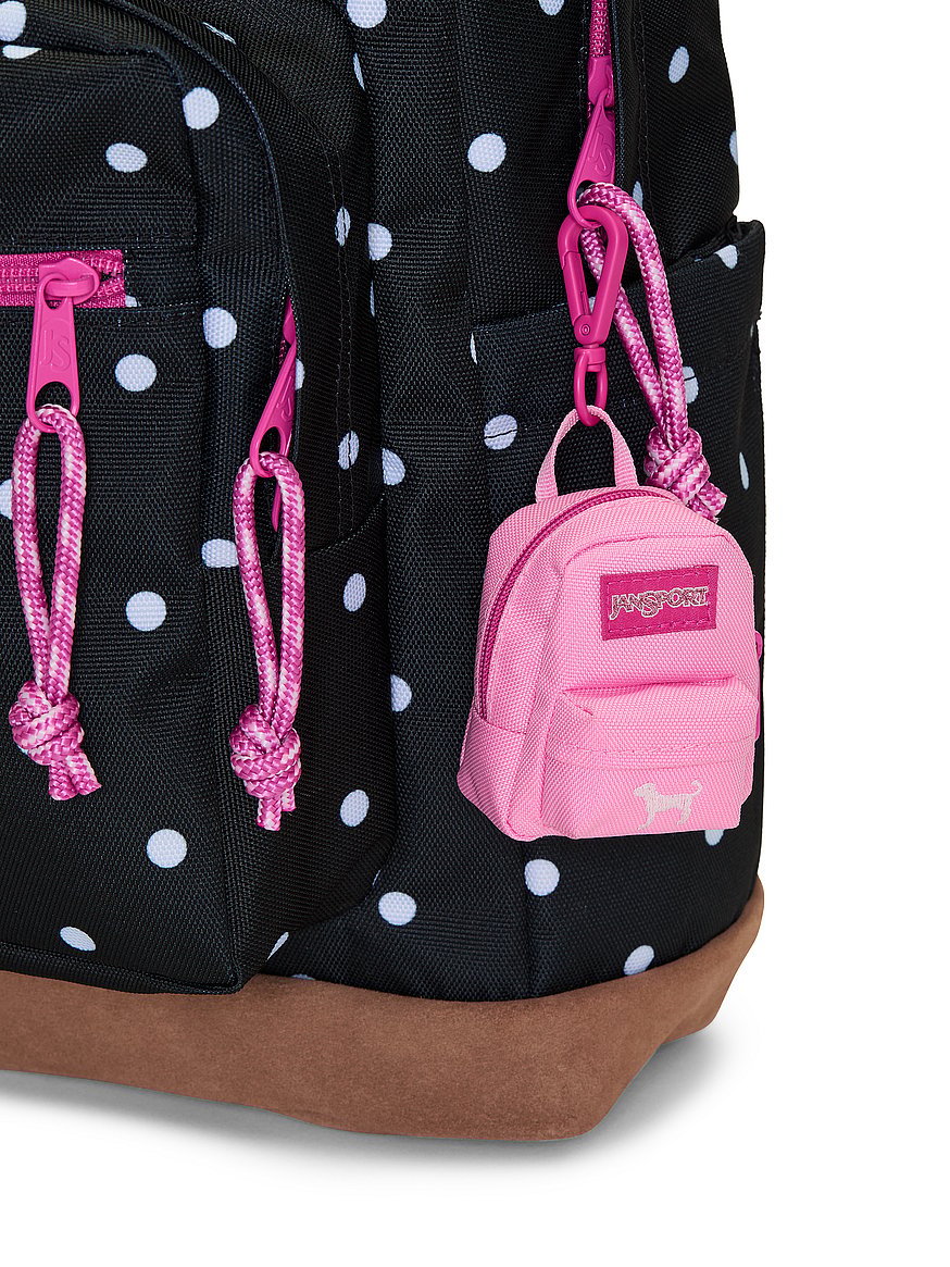 jansport backpack with dogs Mountainsmith K-9 Dog Pack, Large water bottle pocket JanSport Cool Student Laptop Compatable
