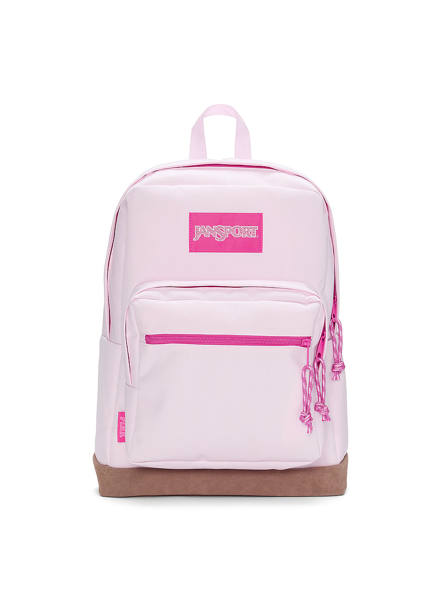 jansport backpack blush pink SuperBreak pleated front stash pocket JanSport Central Adaptive Backpack -