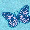Bikini Blue Butterflies