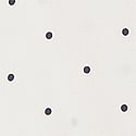 Coconut White Dots