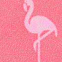 Crazy for Coral Flamingo Print