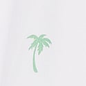 White Palms