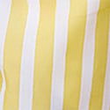 Daisy/White Stripe