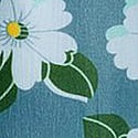 Nostalgic Daisy
