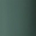 Hunter Green