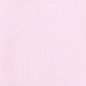 Pink Tulip