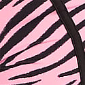 Pink Zebra