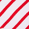 Red and White Stripe Print