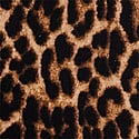 MINI LUCKY LEOPARD