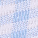 Blue Gingham
