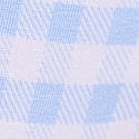 Blue Gingham